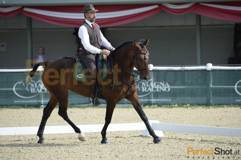 Working Equitation 2013;Magna Racino;perfectshot.at;Horseball;Trail;Dressur;Speed Trail