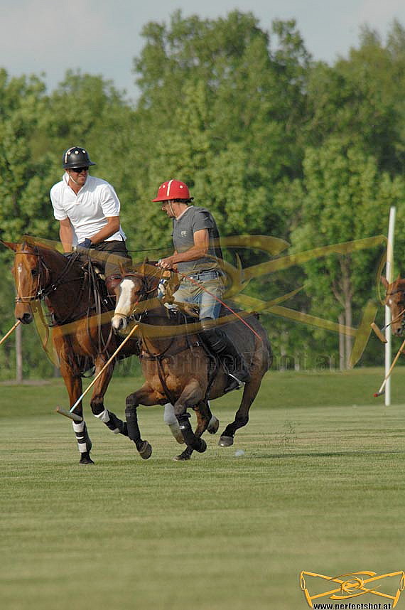 festatagswiese;polo;training;Magna;Racino;16.05.2008;wiese