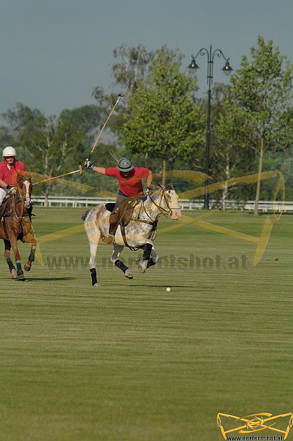 festatagswiese;polo;training;Magna;Racino;16.05.2008;wiese