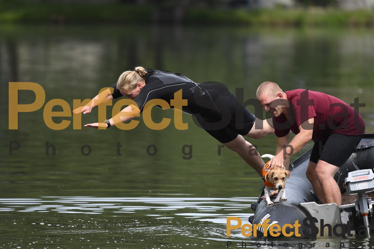 OEHWR; Hundeasserrettung; Hund; Wasserlager ;2019; perfectshot.at;
